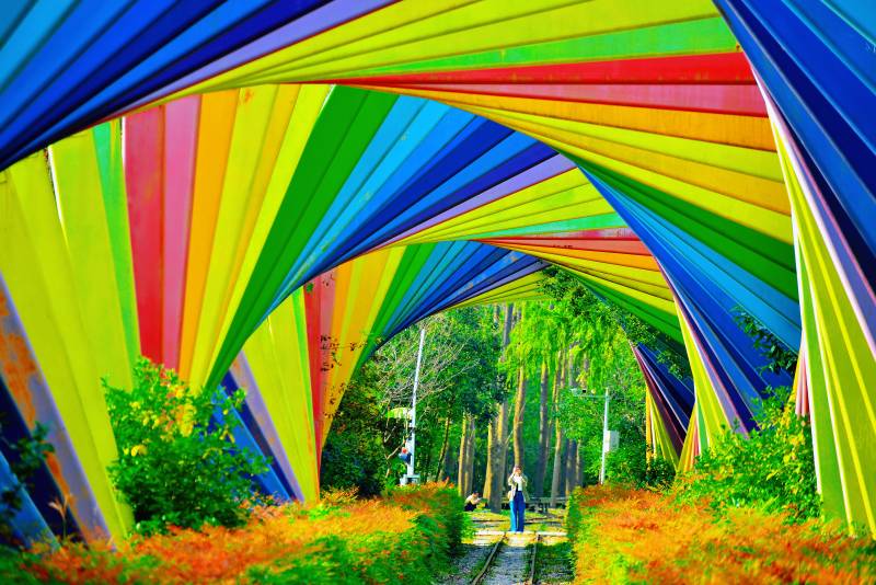 彩虹隧道滨湖国家森林公园