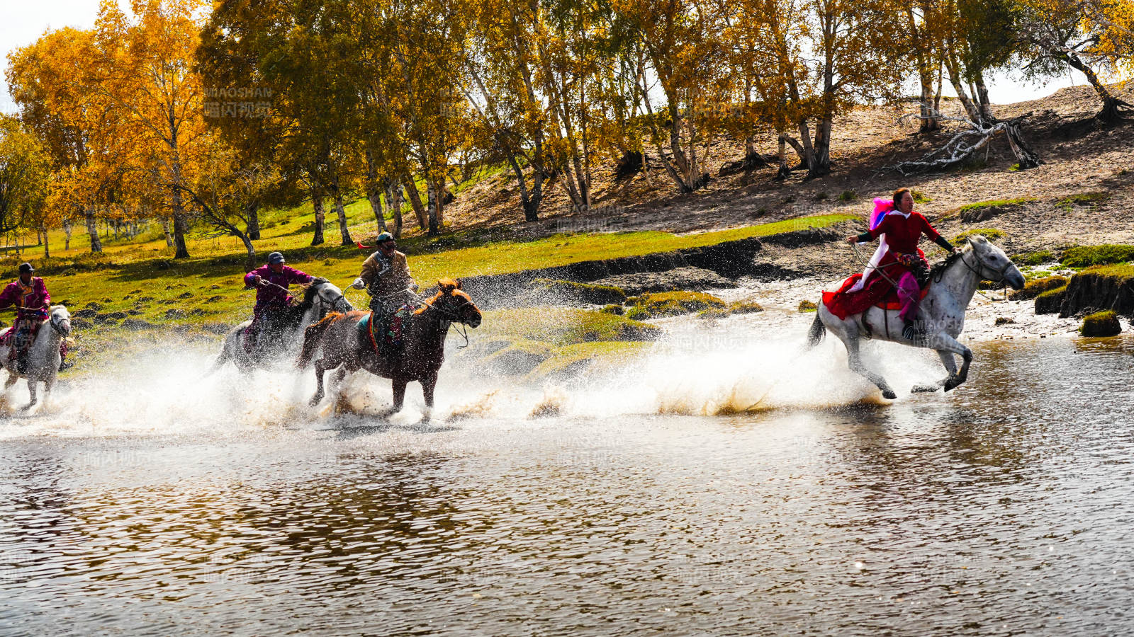 乌兰布统策马奔腾水花飞