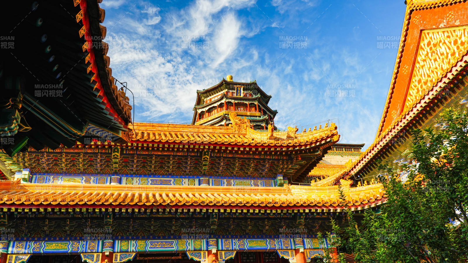 颐和园金殿映蓝天