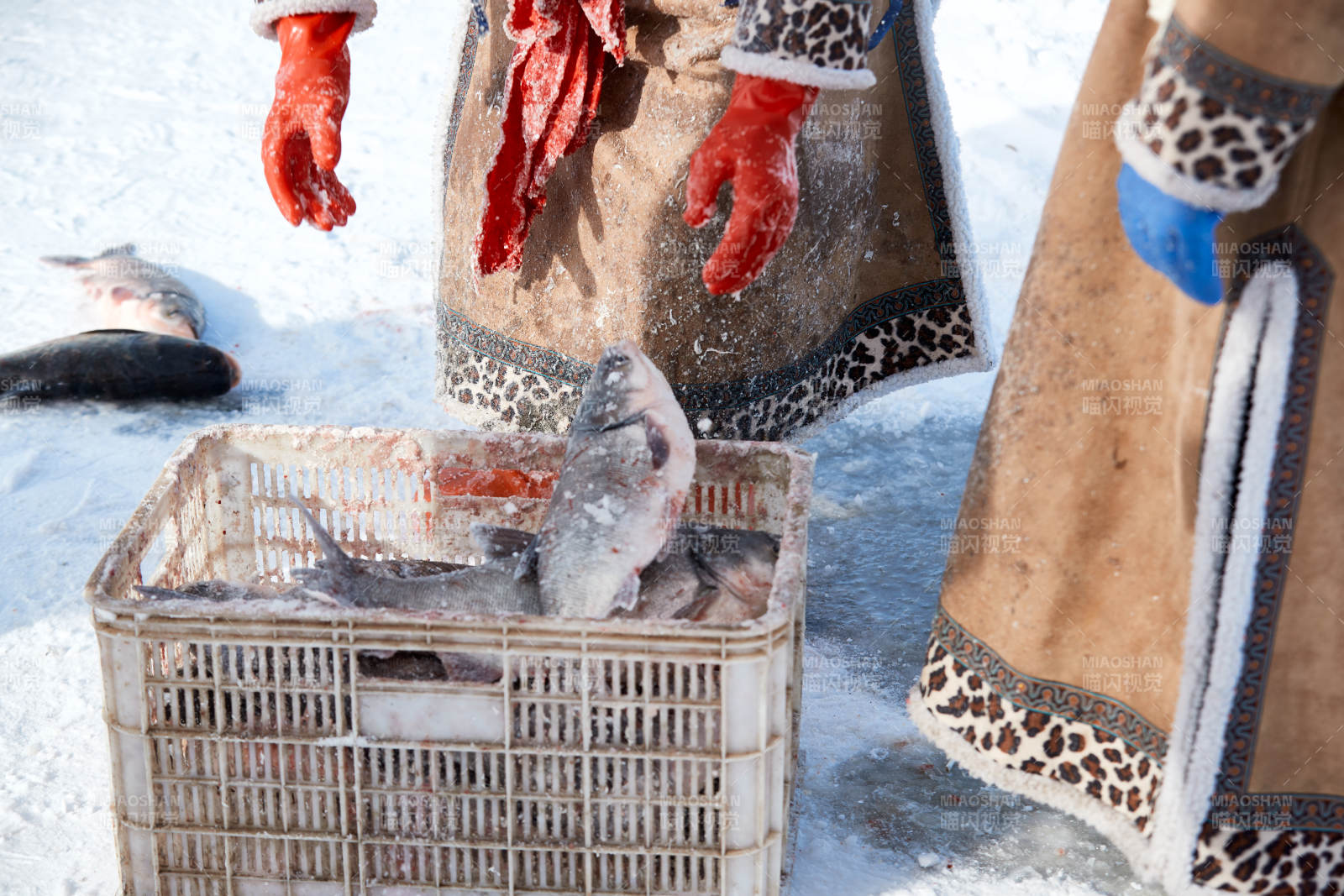 寒冷的冬季在冰凍的湖面上鑿冰捕魚(yú)