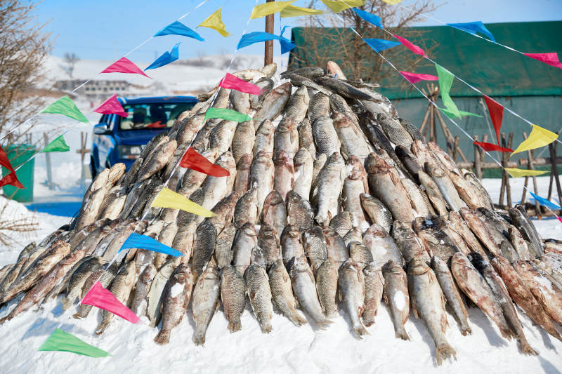 用冬捕野生湖鱼堆积的敖包