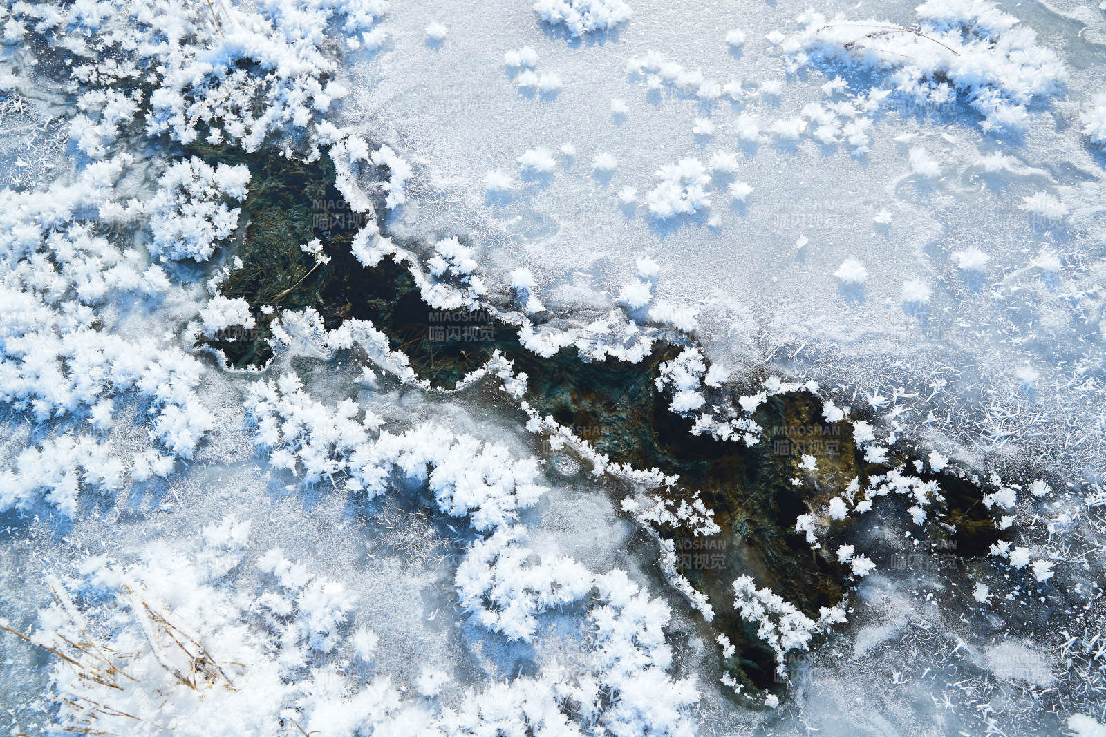 冬天野外溪水冻结冰层上的冰凌花冰松结晶
