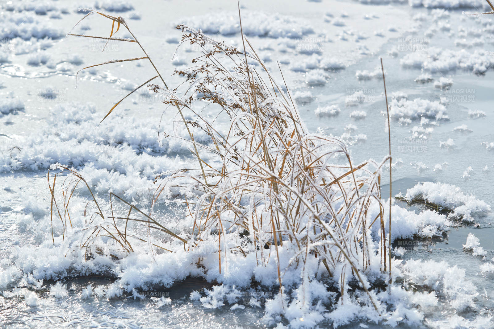 冬天野外溪水冻结冰层上的冰凌花冰松结晶