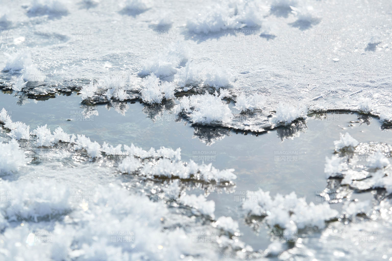 冬天野外溪水冻结冰层上的冰凌花冰松结晶