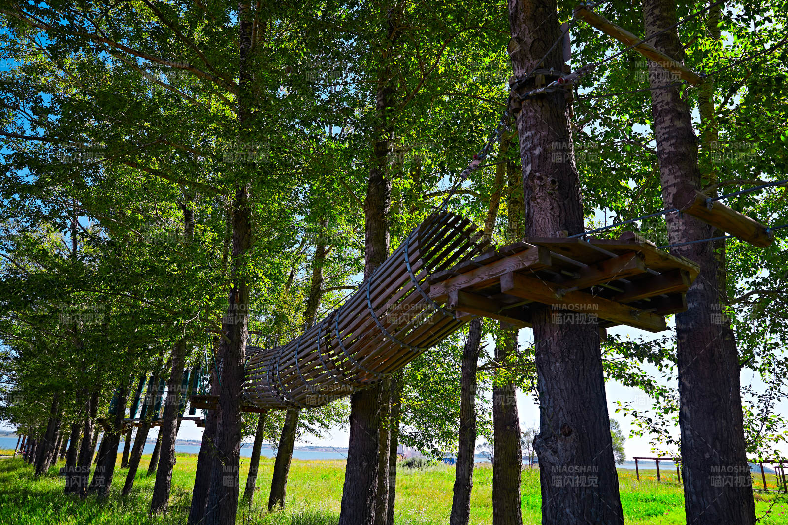 丛林穿越探险娱乐项目的木质设施