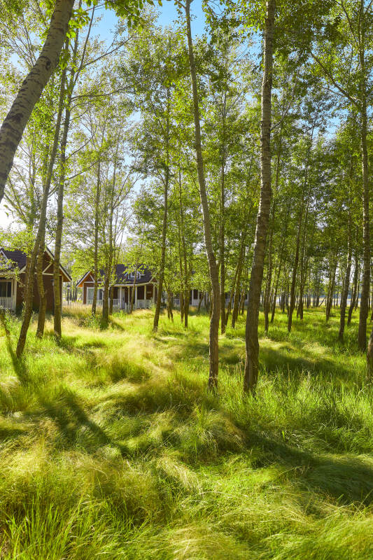 河北沽源库伦淖而旅游度假村别墅区森林草地