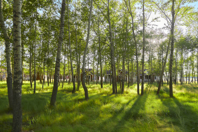 河北沽源库伦淖而旅游度假村别墅区森林草地