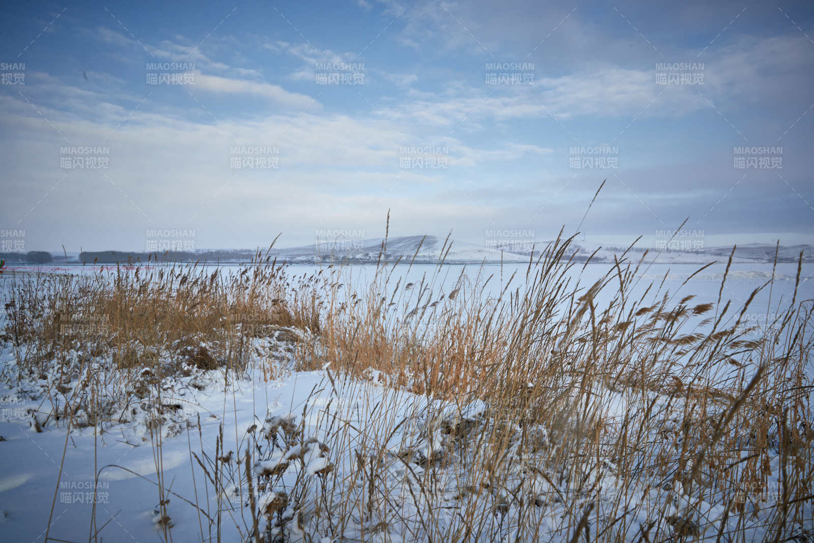 冬季森林自然风景