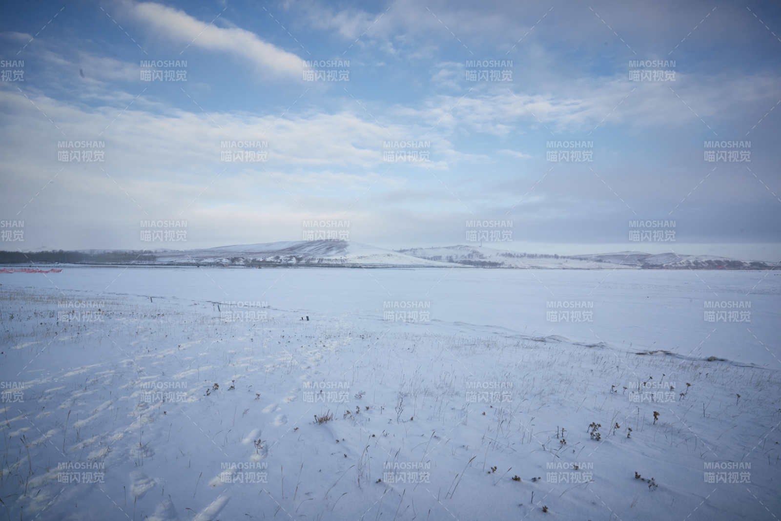 冬季森林自然风景