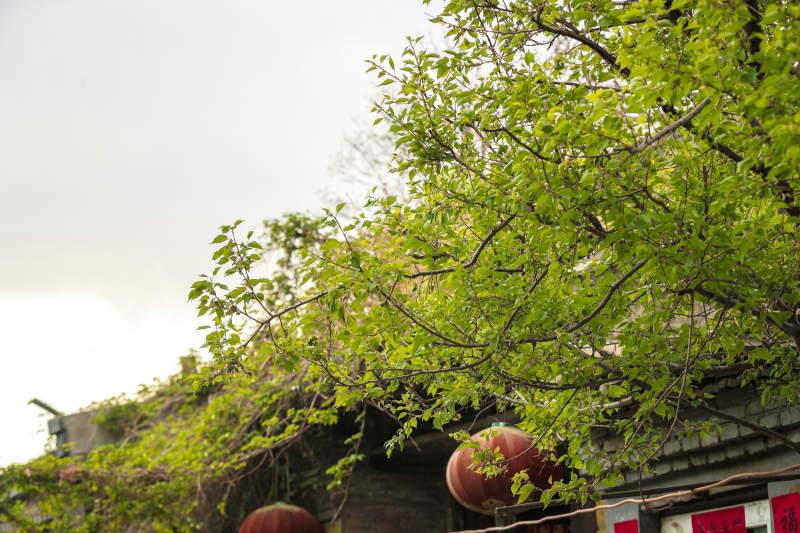 中國河北省張家口市堡子里景區晉商明清建筑