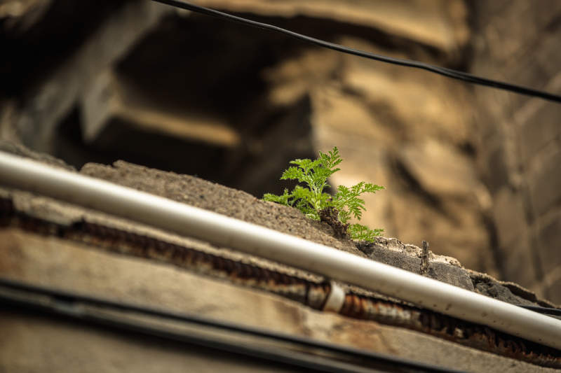 中国河北省张家口市堡子里景区夏天老建筑