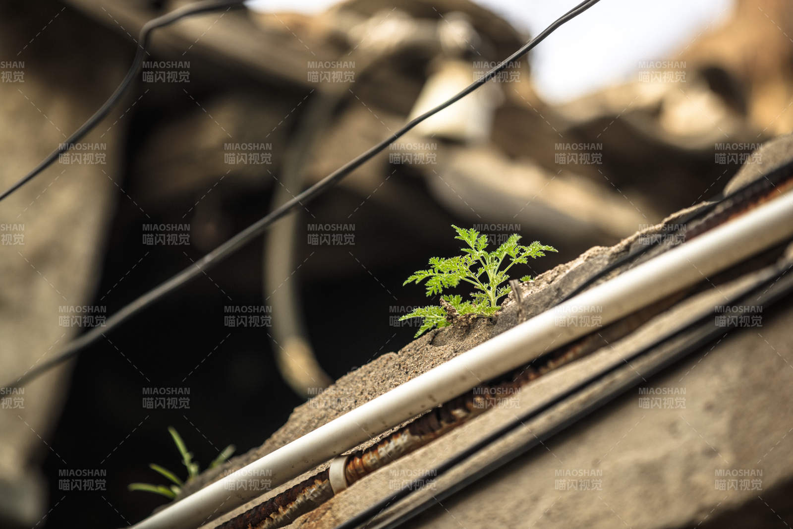 中国河北省张家口市堡子里景区夏天老建筑