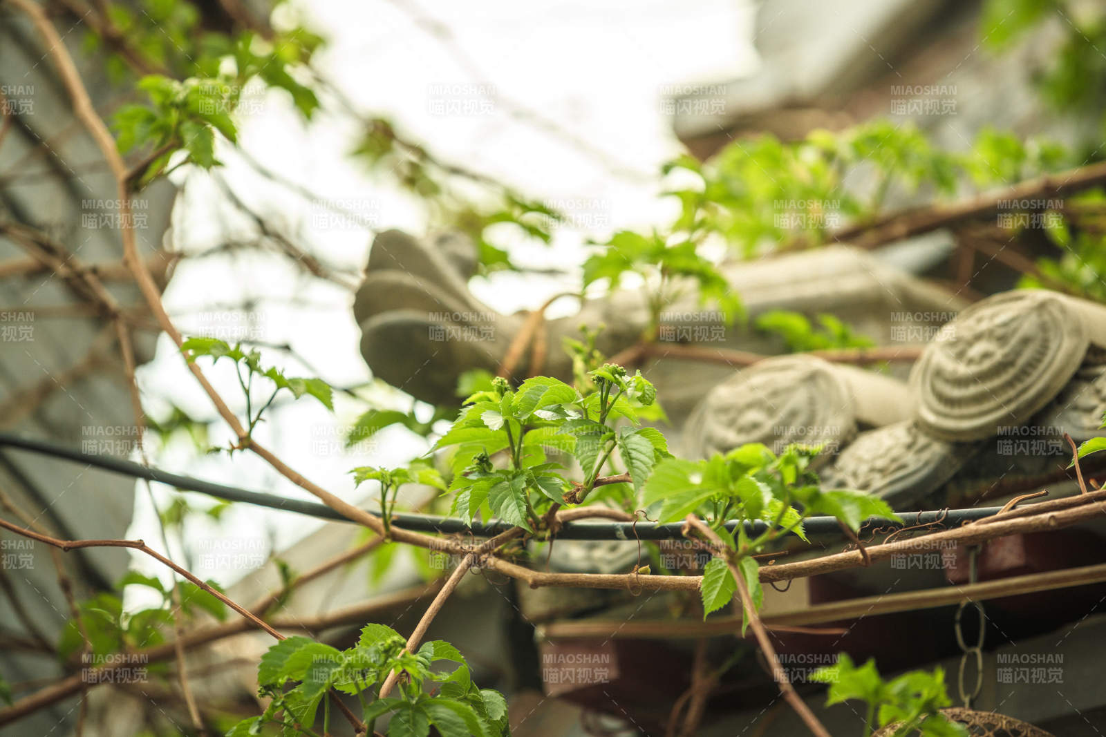 中国河北省张家口市堡子里景区夏天老建筑