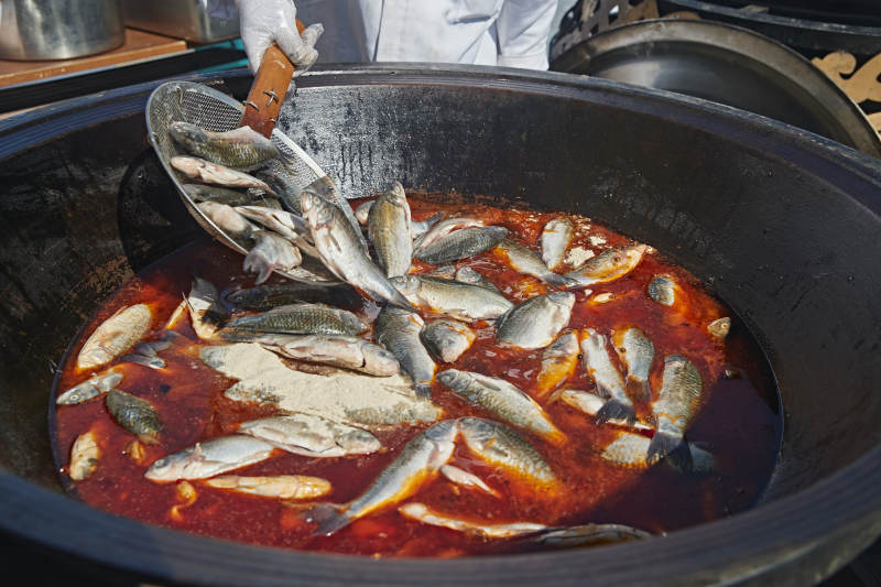 户外柴火铁锅炖煮的刚捕捞的野生鱼汤