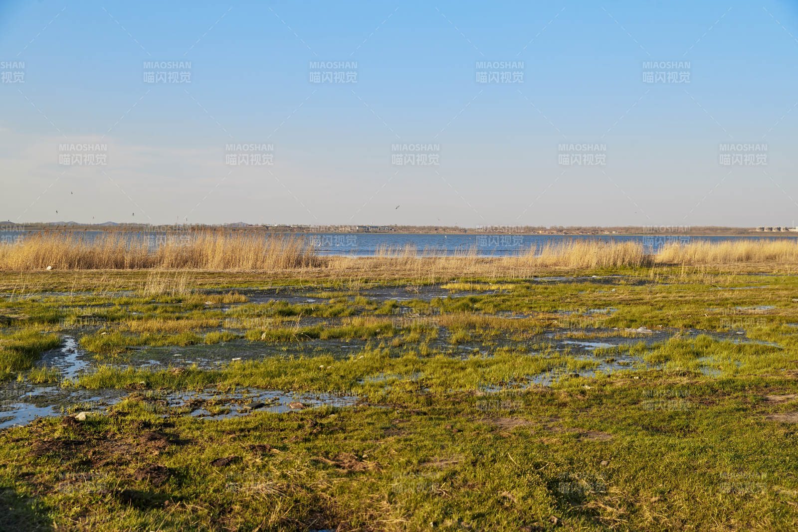 河北省沽源县天鹅湖湿地草原