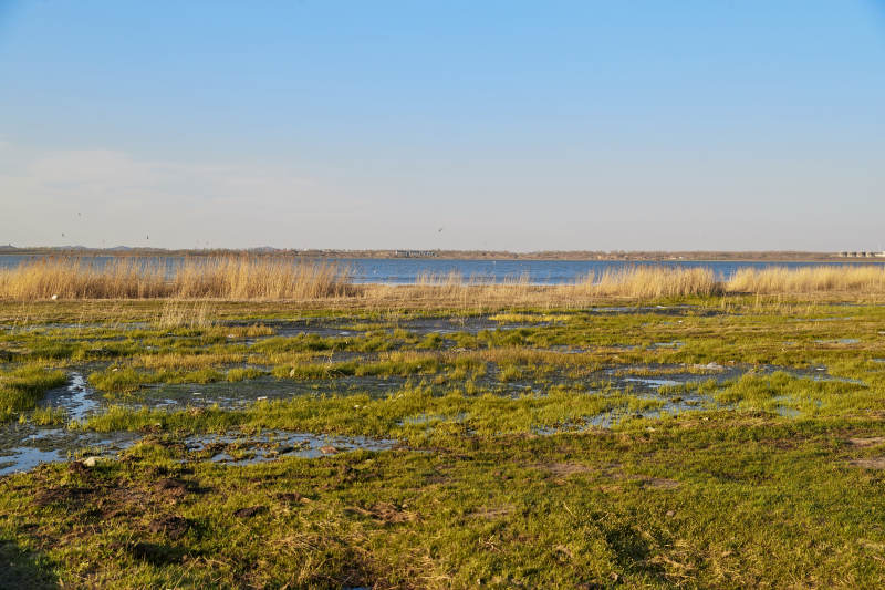 河北省沽源县天鹅湖湿地草原