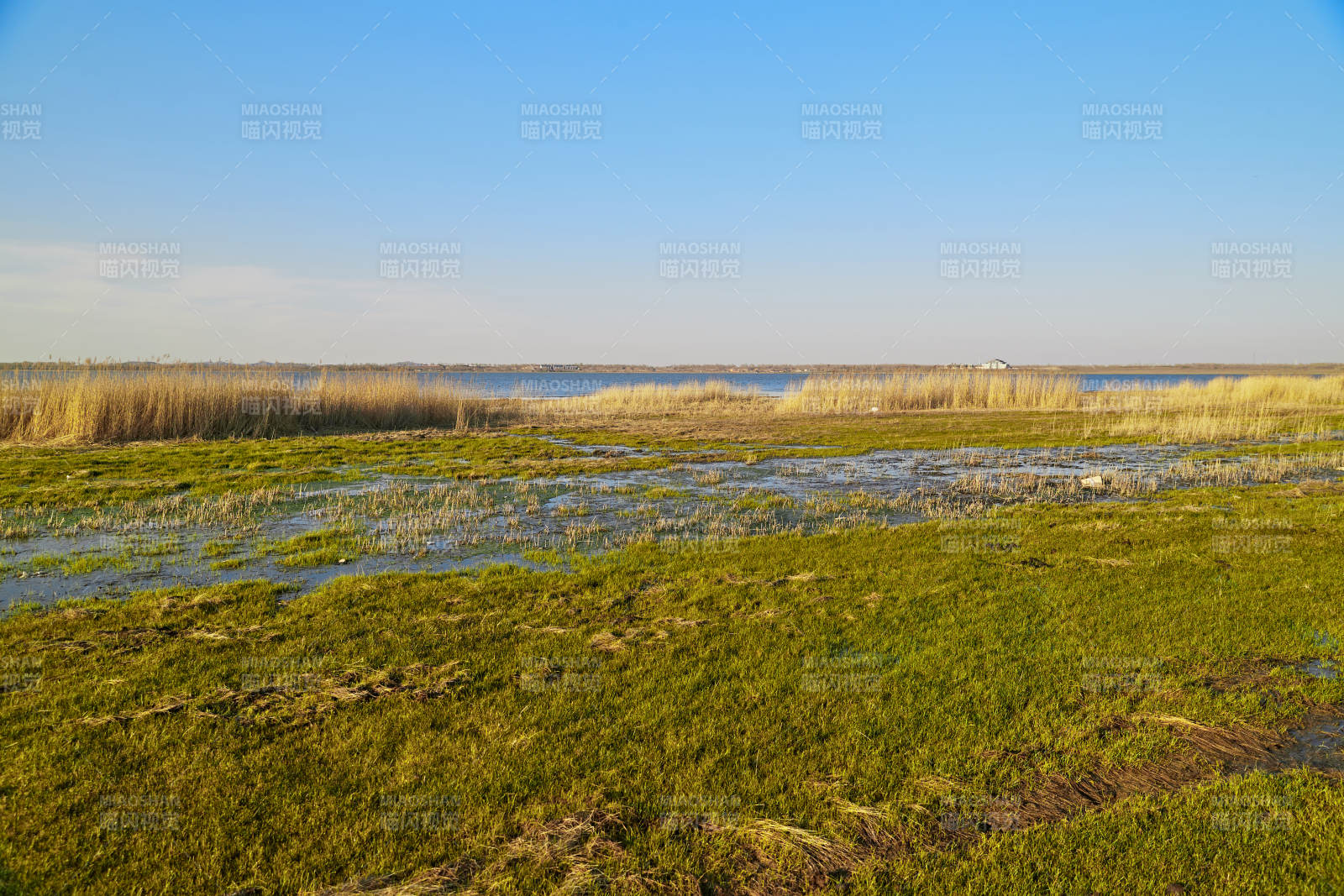 河北省沽源县天鹅湖湿地草原
