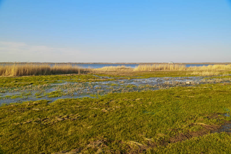 河北省沽源县天鹅湖湿地草原