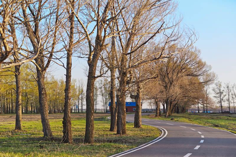 河北省沽源县天鹅湖湿地公园风景
