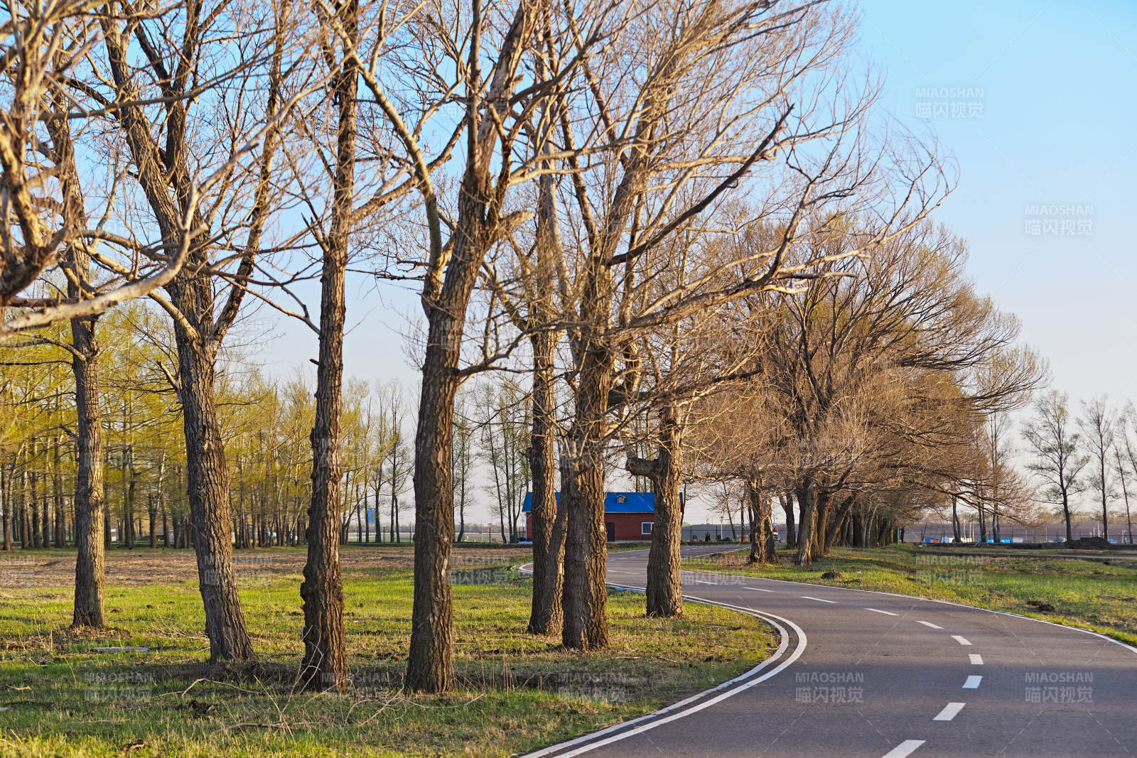 河北省沽源县天鹅湖湿地公园风景