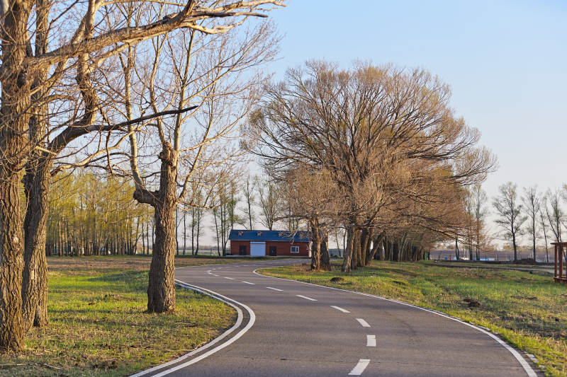 河北省沽源县天鹅湖湿地公园风景