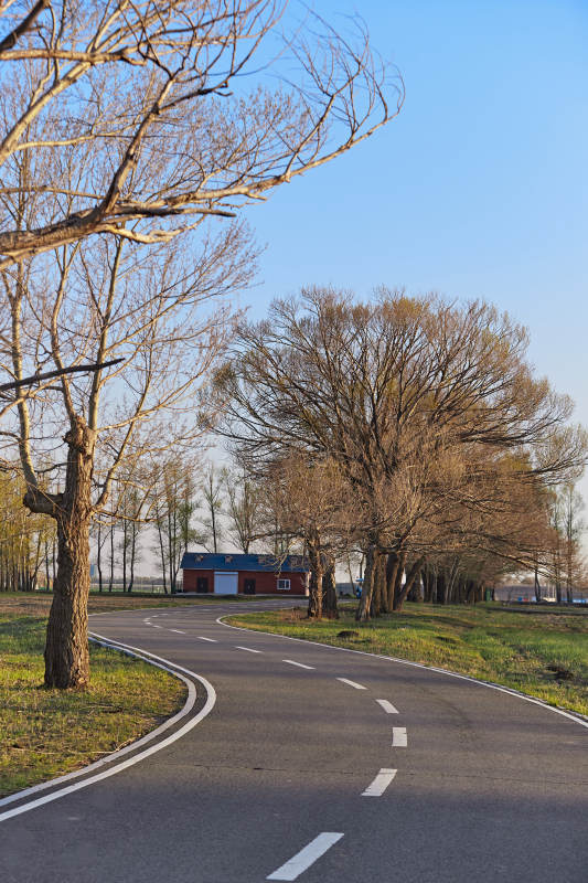 河北省沽源县天鹅湖湿地公园风景