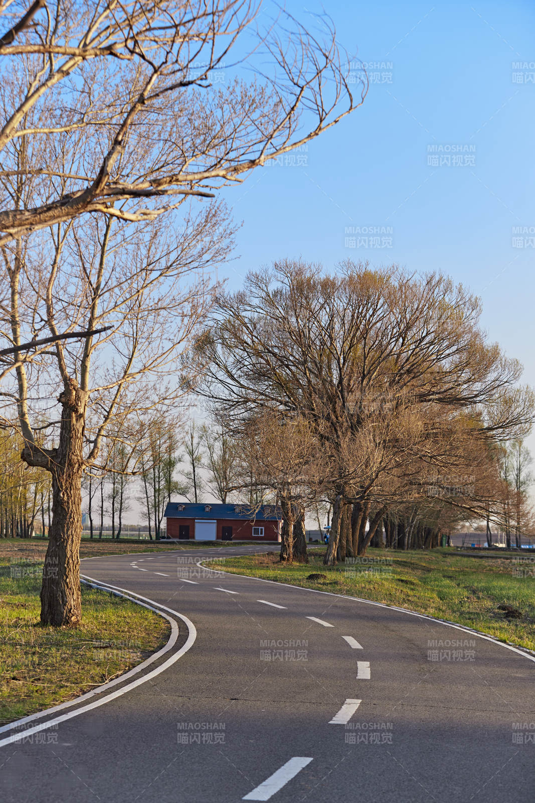 河北省沽源县天鹅湖湿地公园风景