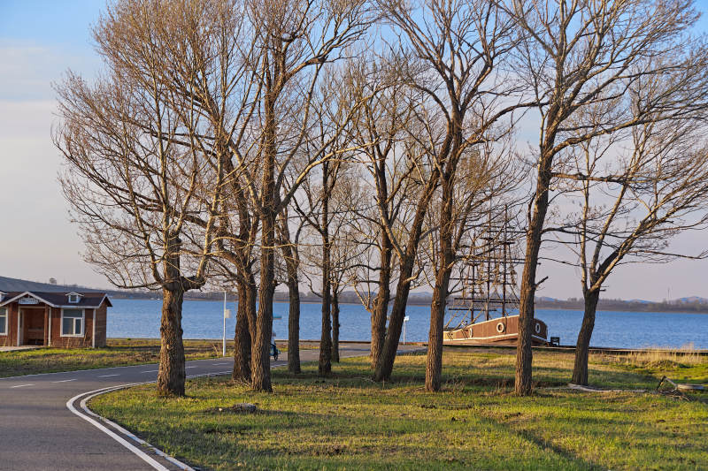 河北省沽源县天鹅湖湿地公园风景
