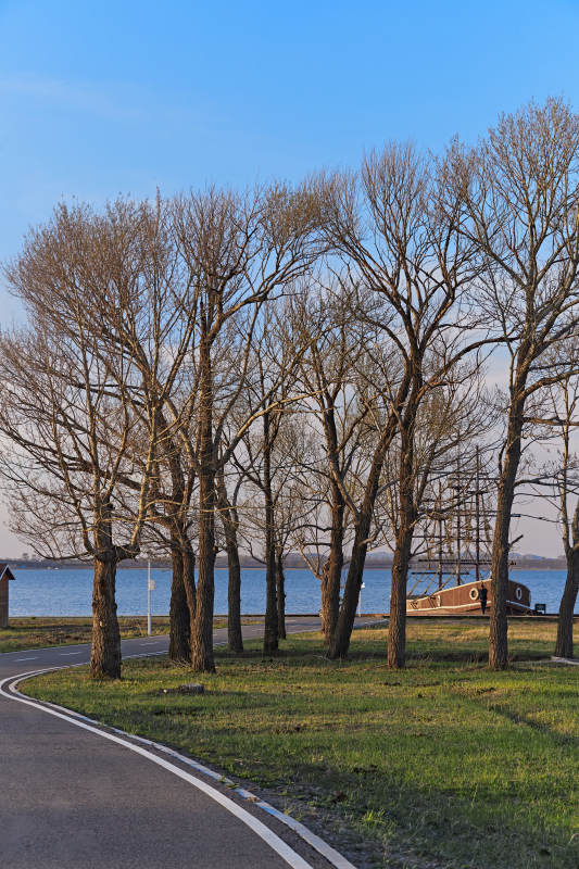 河北省沽源县天鹅湖湿地公园风景