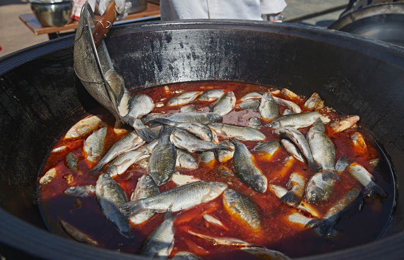 户外柴火铁锅炖煮的刚捕捞的野生鱼汤