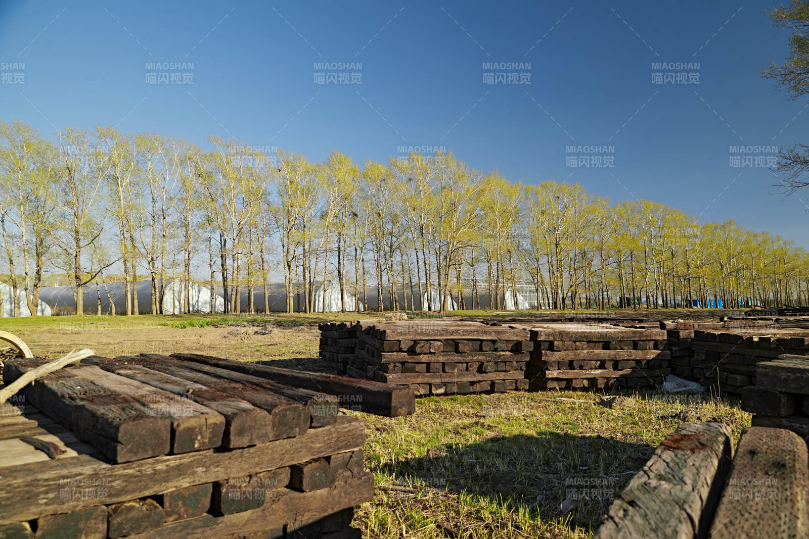 春天户外堆放在一起的木头