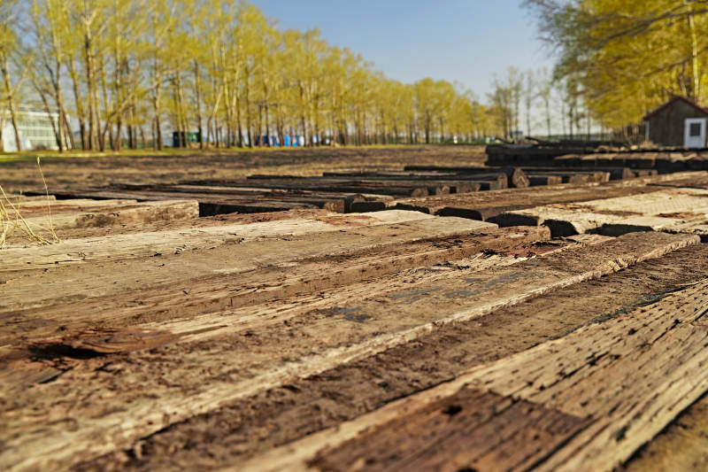 春天户外堆放在一起的木头