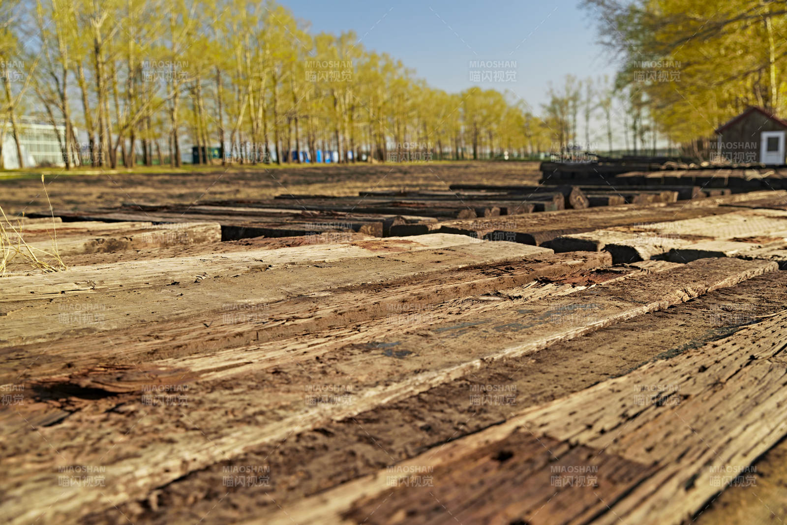 春天户外堆放在一起的木头