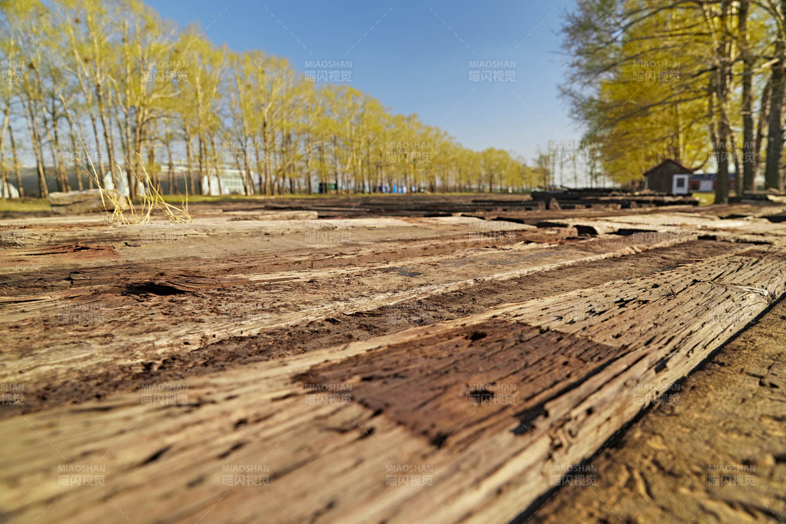 春天户外堆放在一起的木头