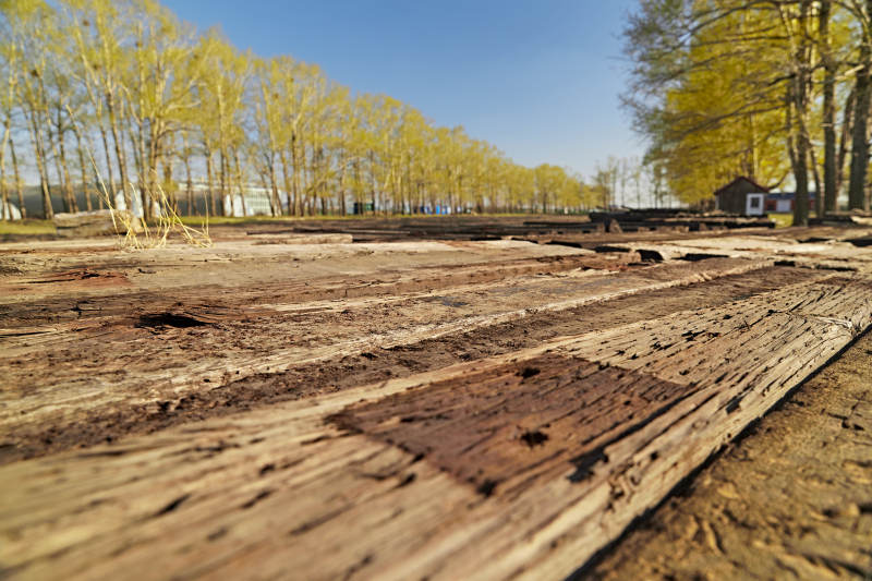 春天户外堆放在一起的木头