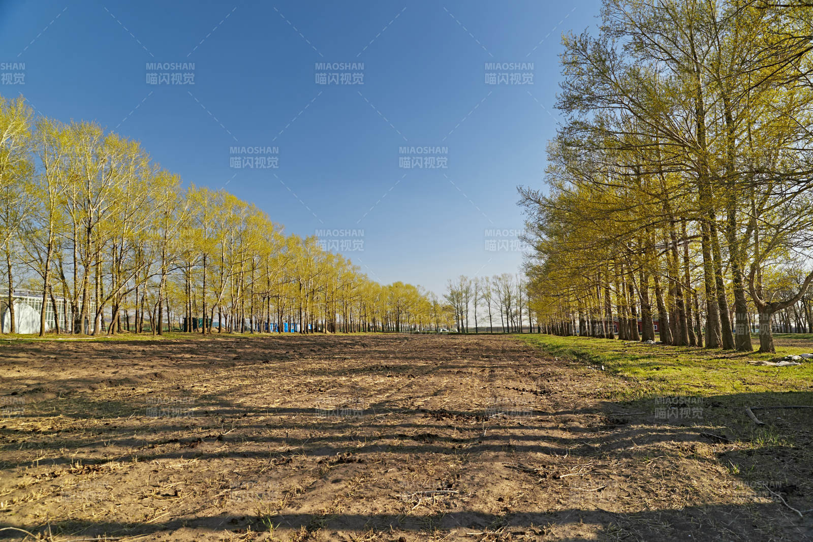 河北省沽源县春季开垦的农田