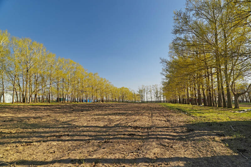 河北省沽源县春季开垦的农田