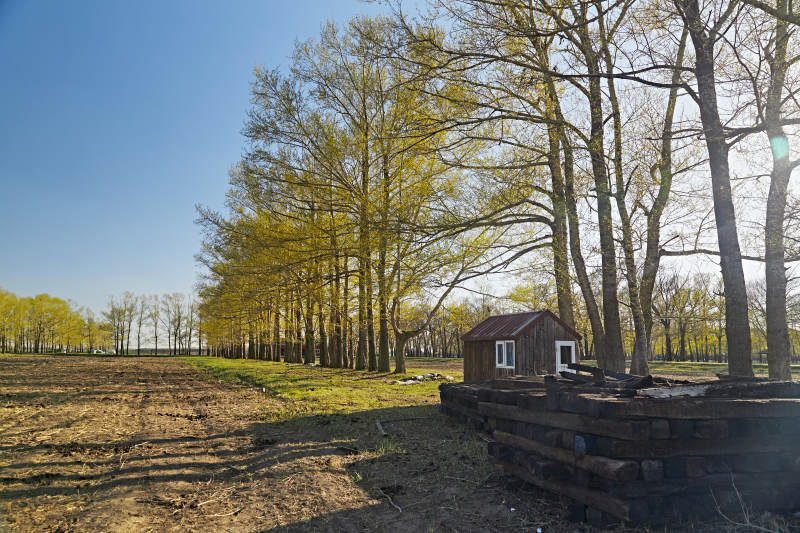 河北省沽源县春季开垦的农田