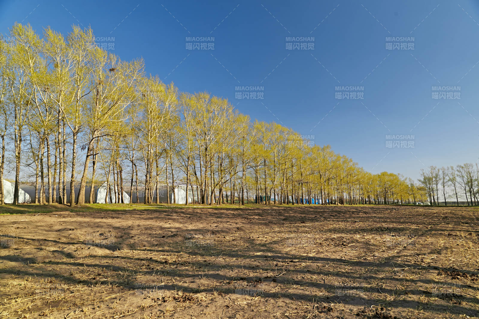 河北省沽源县春季开垦的农田