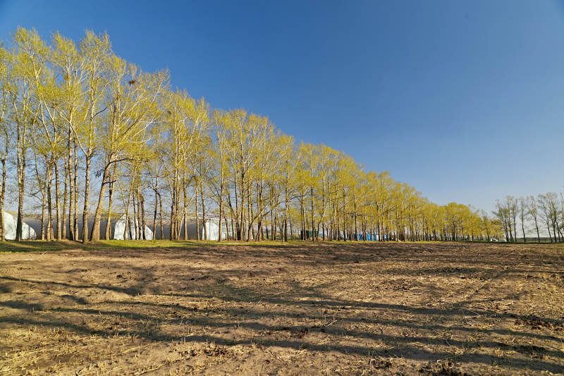 河北省沽源县春季开垦的农田
