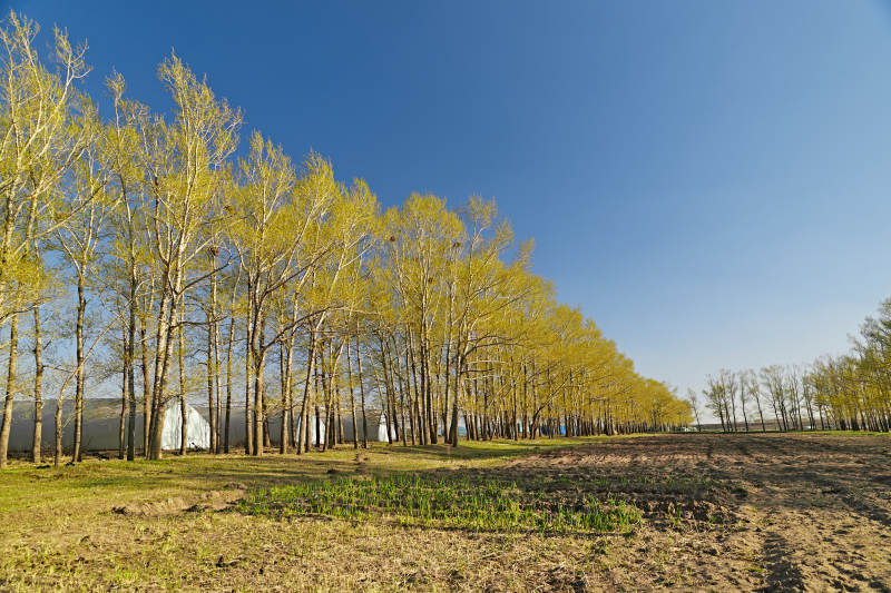 河北省沽源县春季开垦的农田