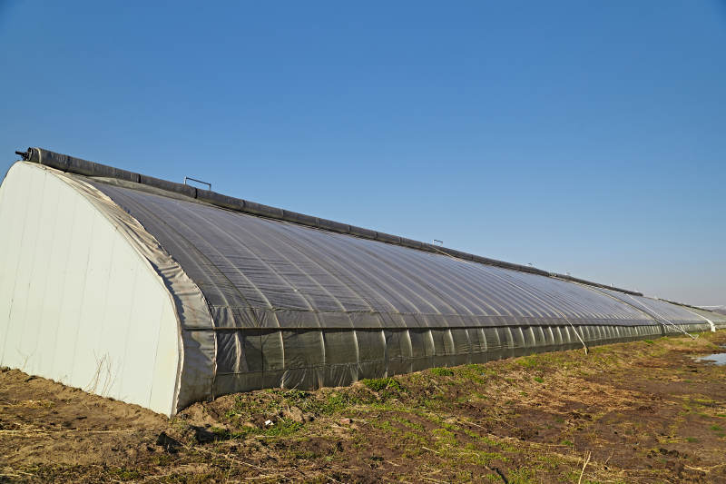 河北省沽源县库伦淖尔景区春季蔬菜大棚