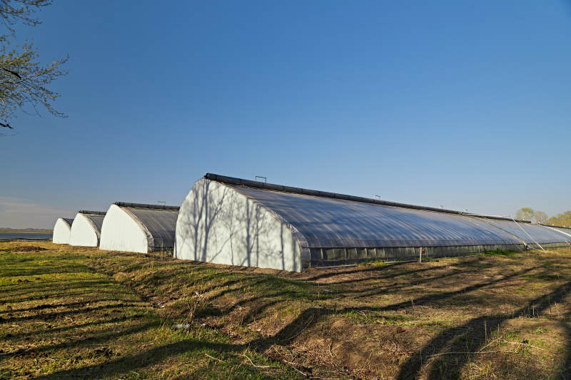 河北省沽源县库伦淖尔景区春季蔬菜大棚