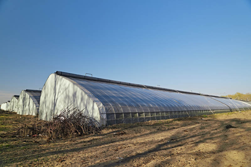 河北省沽源县库伦淖尔景区春季蔬菜大棚