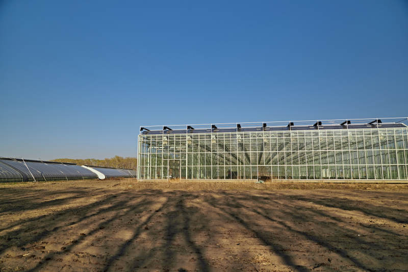 河北省沽源县库伦淖尔景区春季蔬菜大棚