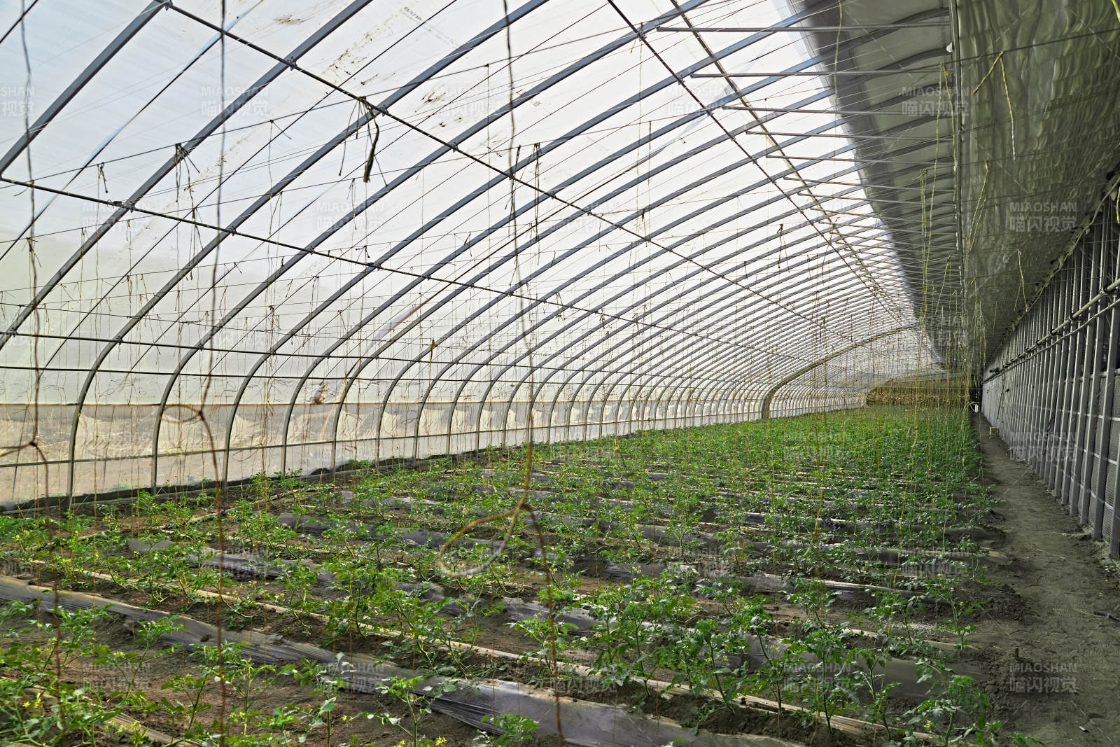 河北省沽源县库伦淖尔景区春季蔬菜大棚