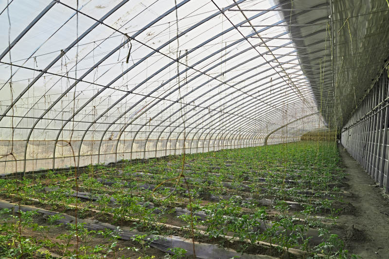 河北省沽源县库伦淖尔景区春季蔬菜大棚