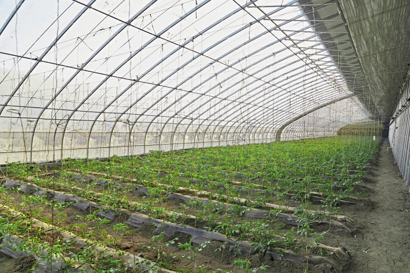 河北省沽源县库伦淖尔景区春季蔬菜大棚