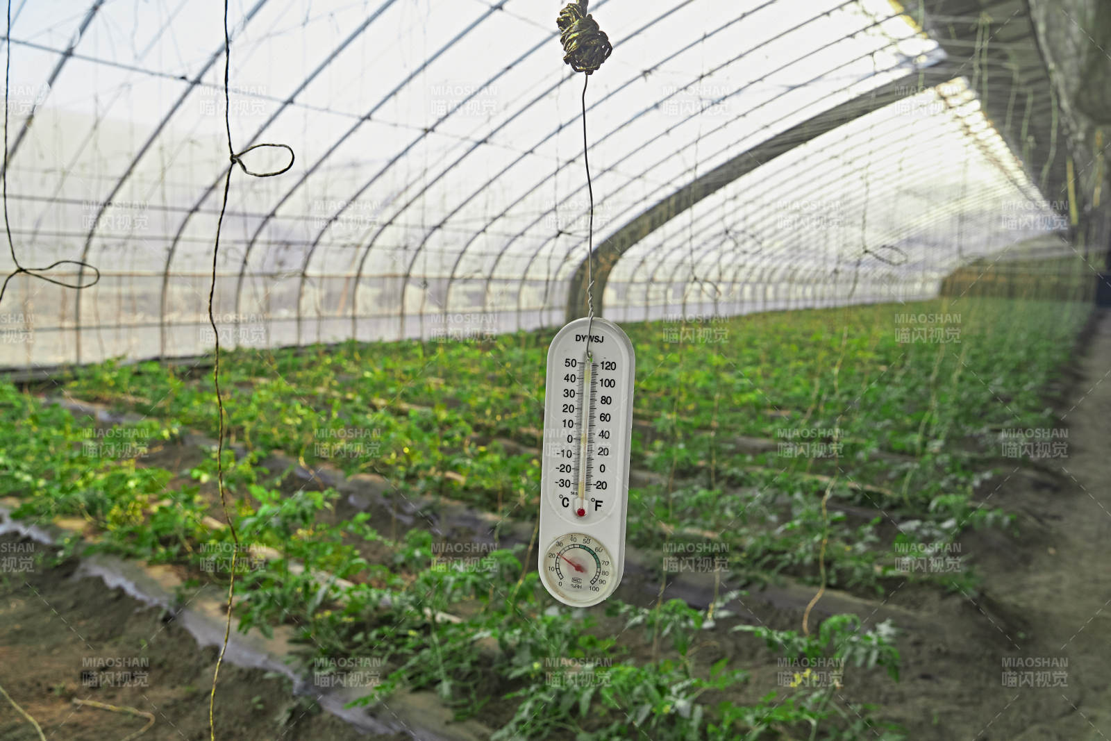 河北省沽源县库伦淖尔景区春季蔬菜大棚