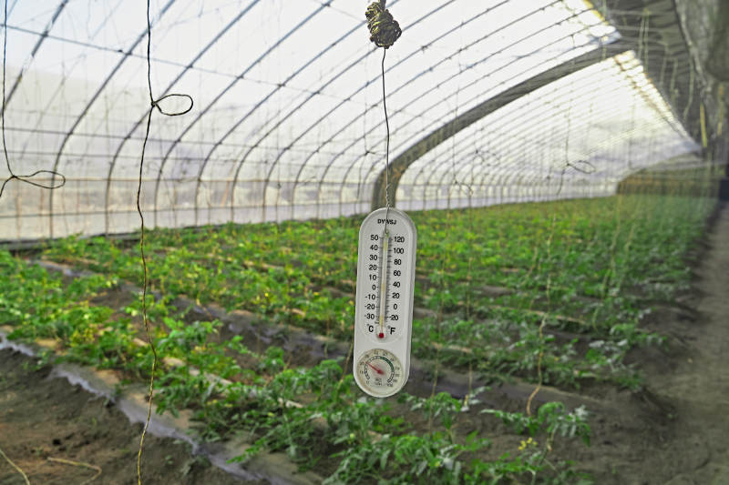 河北省沽源县库伦淖尔景区春季蔬菜大棚